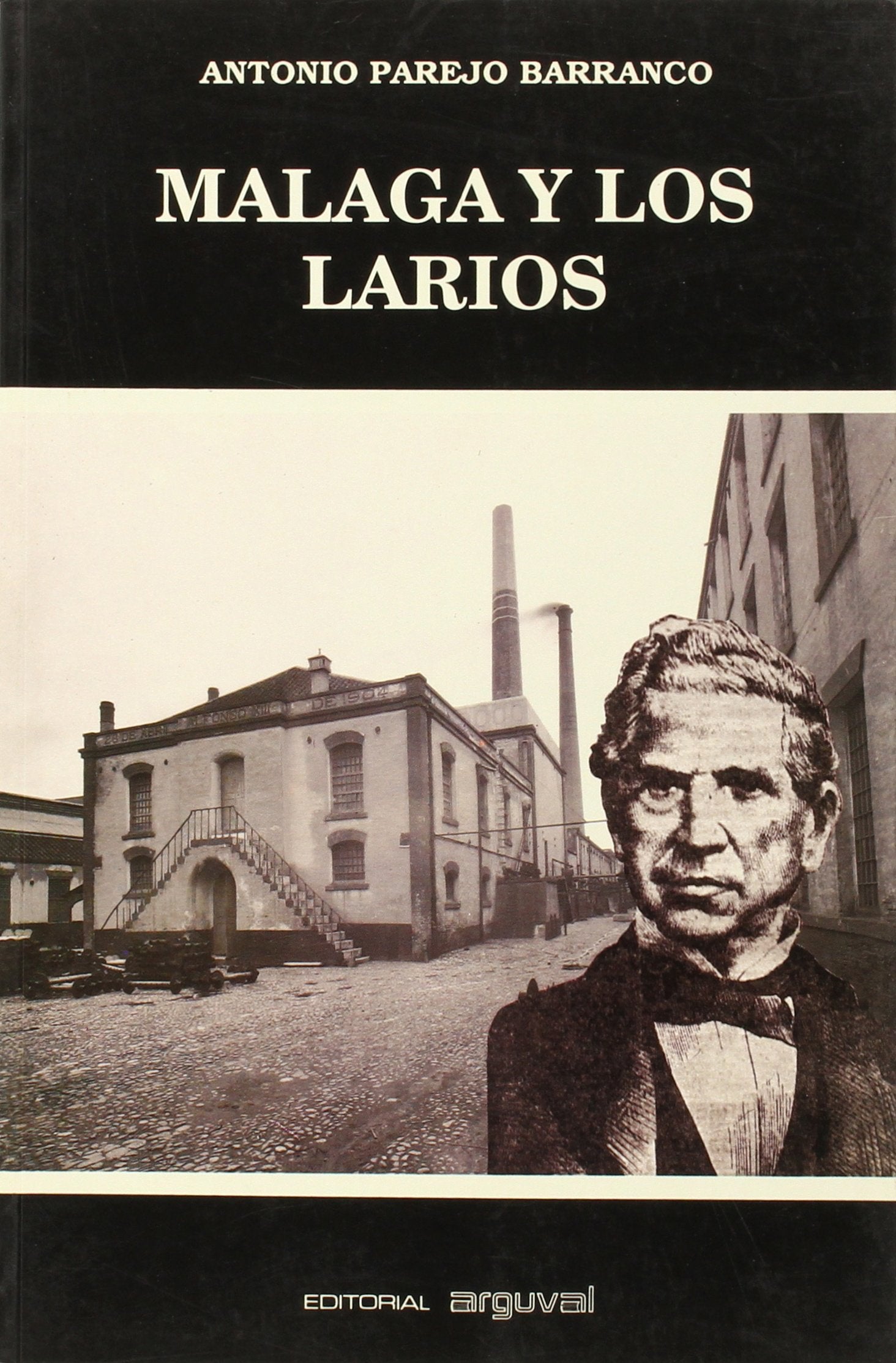 Málaga y los Larios : capitalismo industrial y atraso económico (1875-1914): Capitalismo Industrial y Atraso Economico, 1875-1914 (TIERRAS DEL SUR) Social Sciences