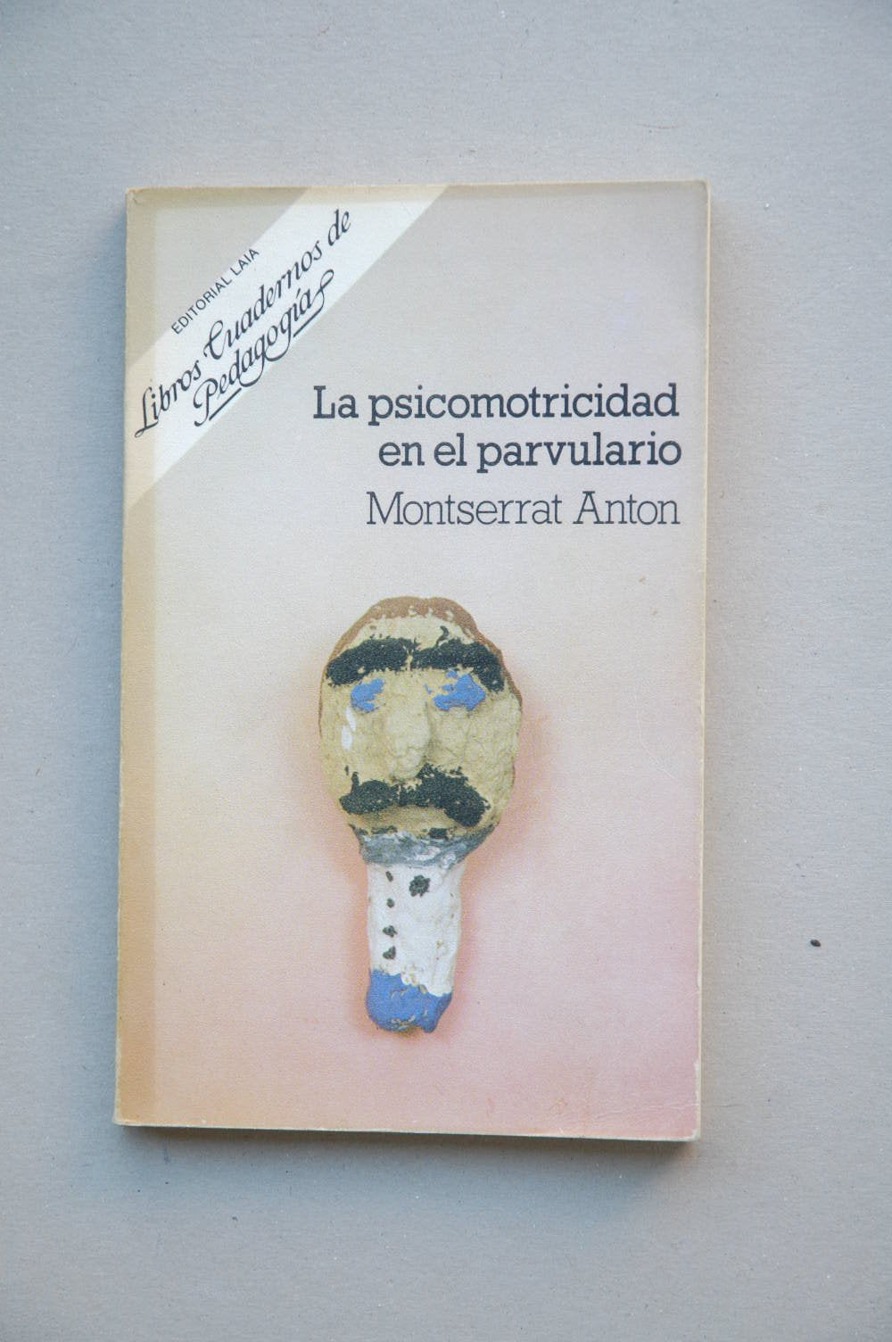 Programacion de la psicomotricidaden educacion especial book