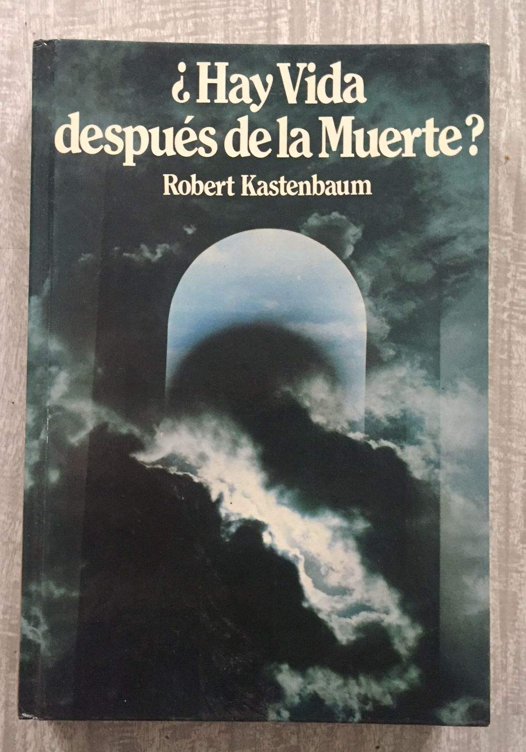 ¿HAY VIDA DESPUÉS DE LA MUERTE? book
