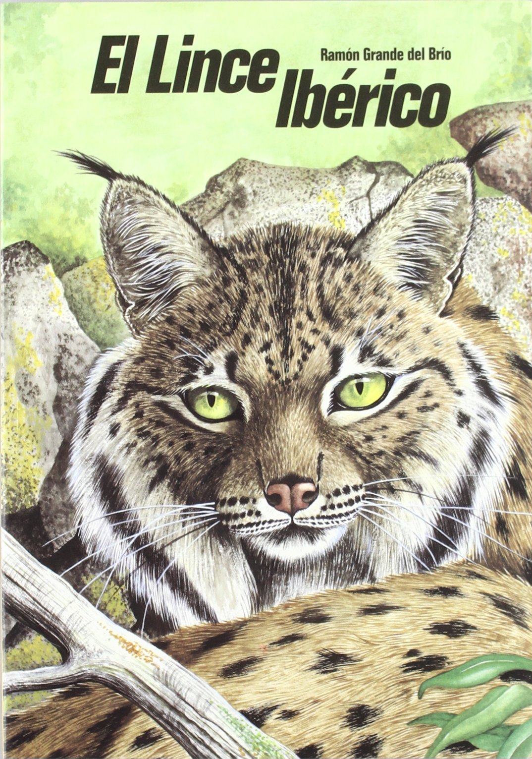 El lince ibérico (Lynx pardina) en Castilla y León Medicine