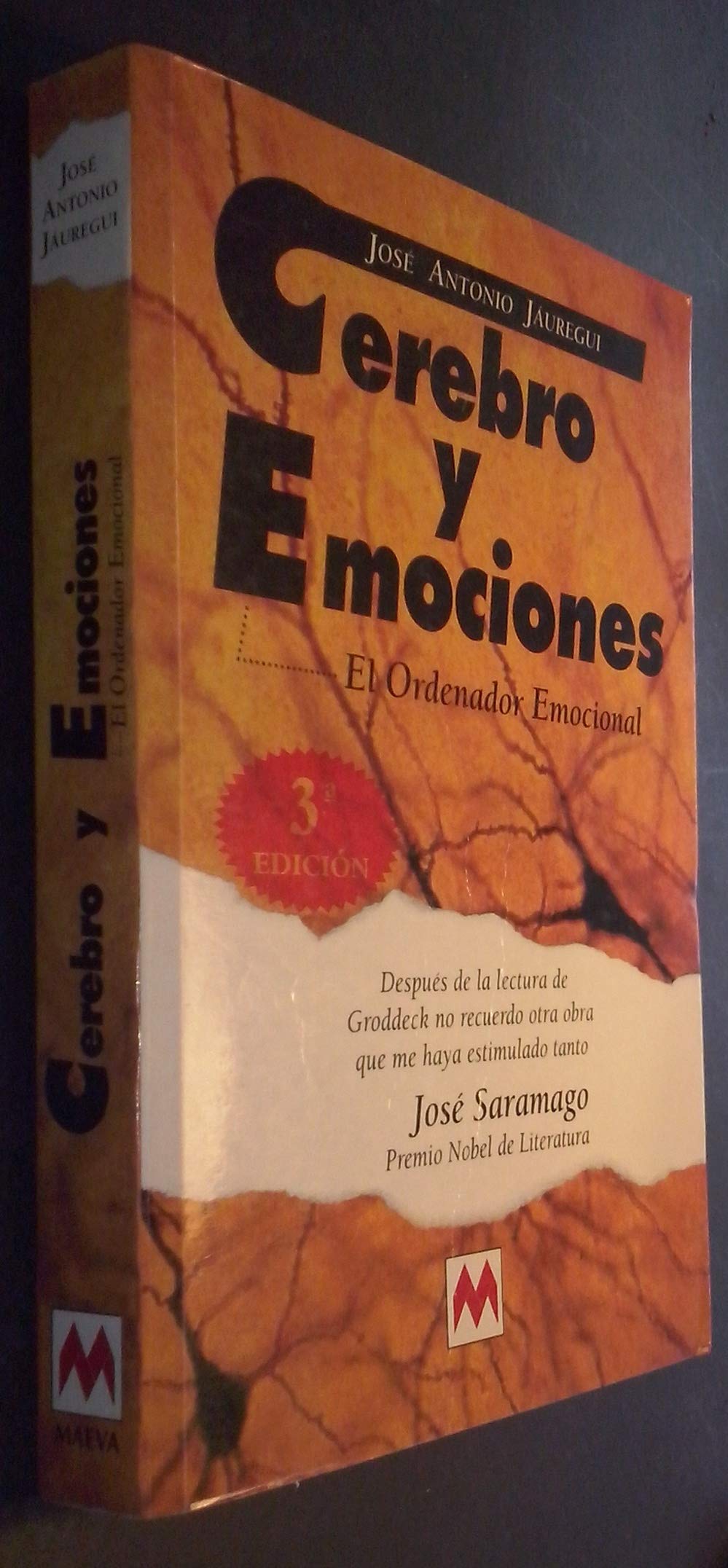 Cerebri y emociones: el ordenador personal book