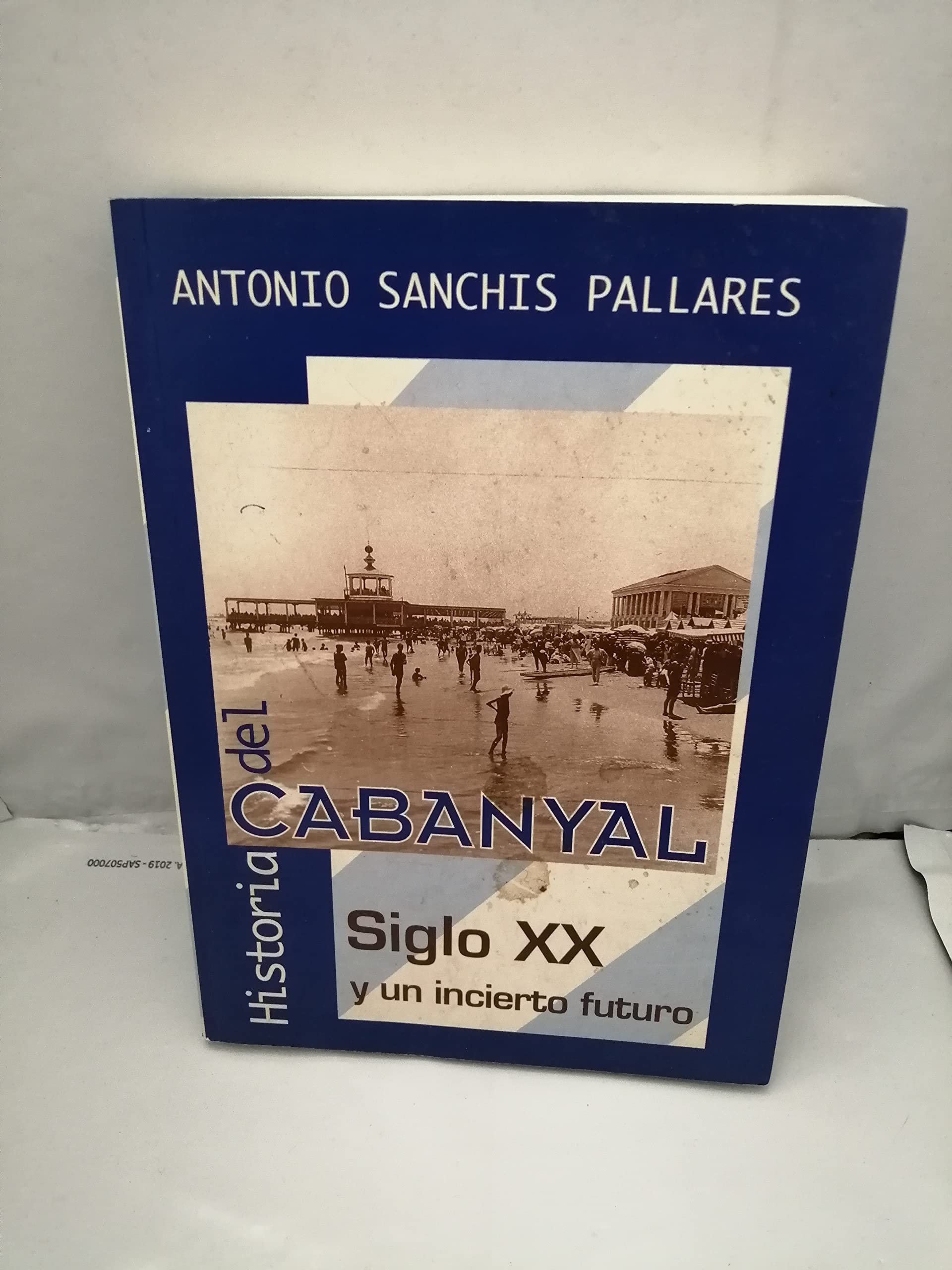 Historia del cabanyal : siglo XX yel incierto futuro book