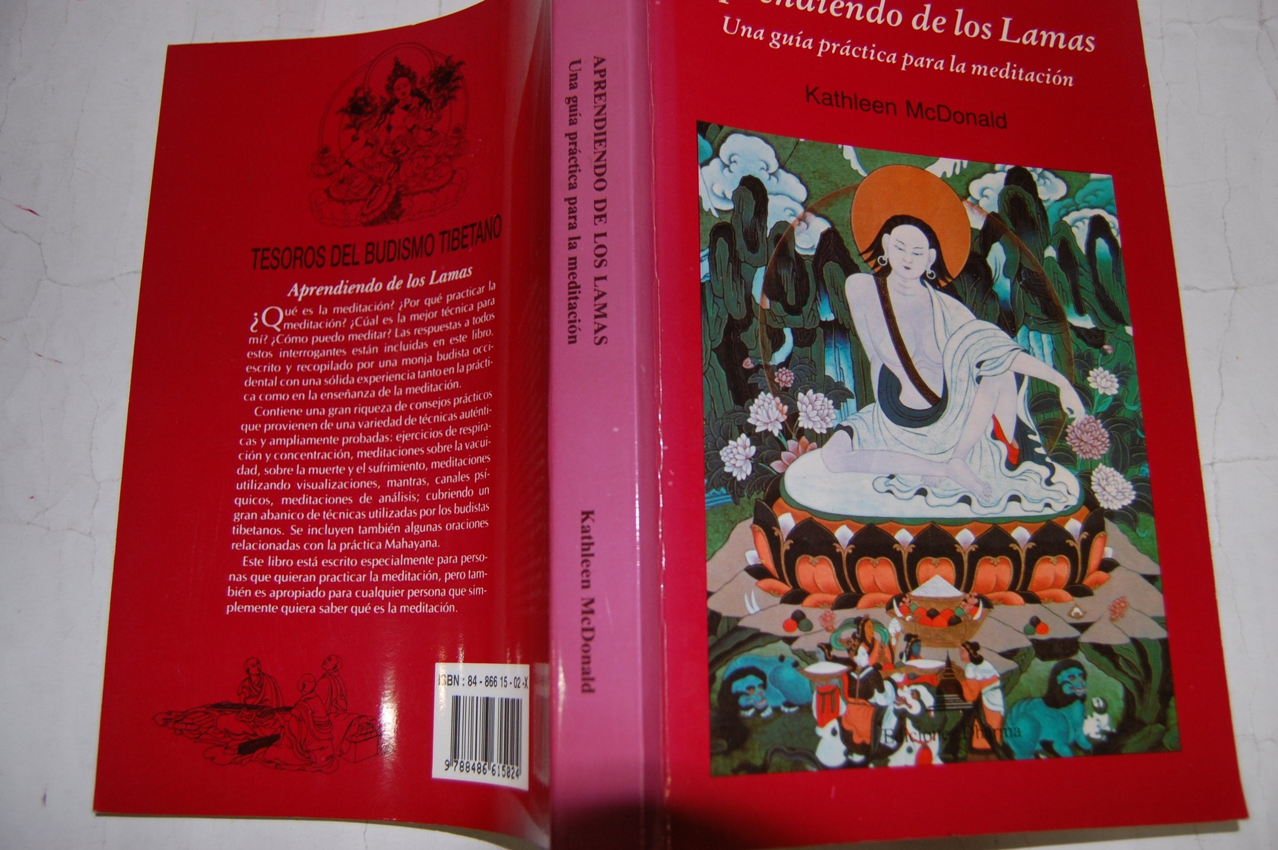 Product Image: Aprendiendo De Los Lamas