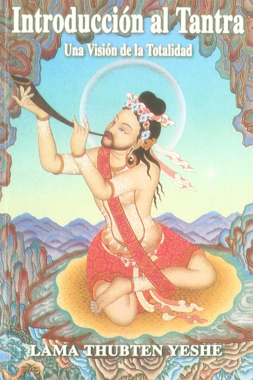 Introducción al tantra : la visión de la totalidad Social Sciences