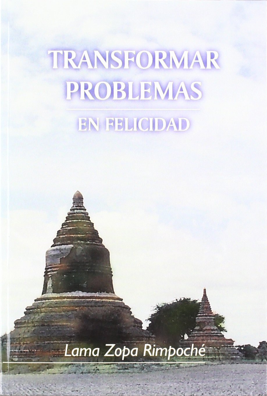 Transformar problemas en felicidad Books