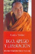 Introduccion al tantra : una vision de la totalidad book