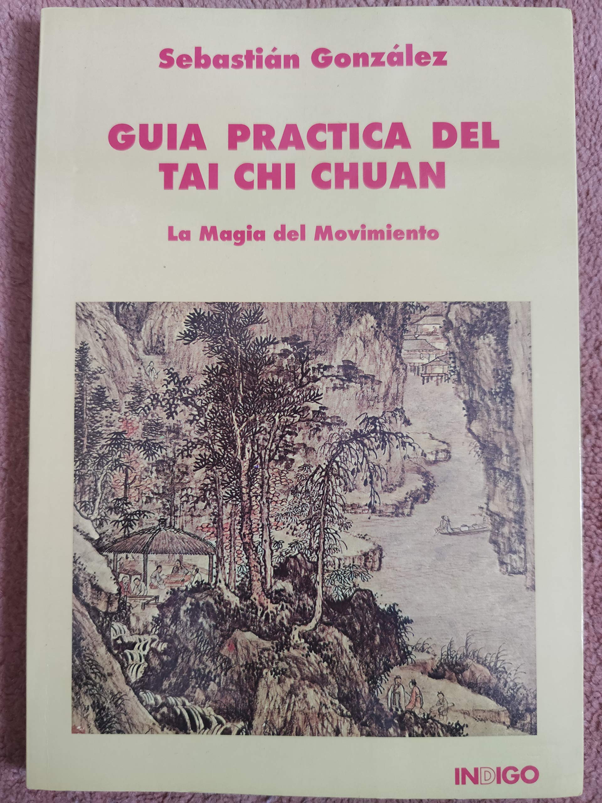 Guía práctica del tai chi chuan: la magia del movimiento Books