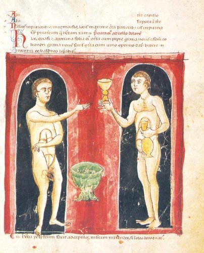 Medicina antiqua : cuatro libros de medicina : Codex Vindobonensis 93 book