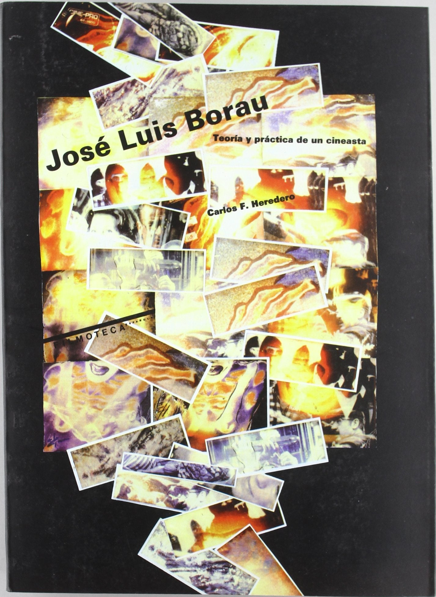 José Luis Borau. Teoría y práctica de un cineasta book