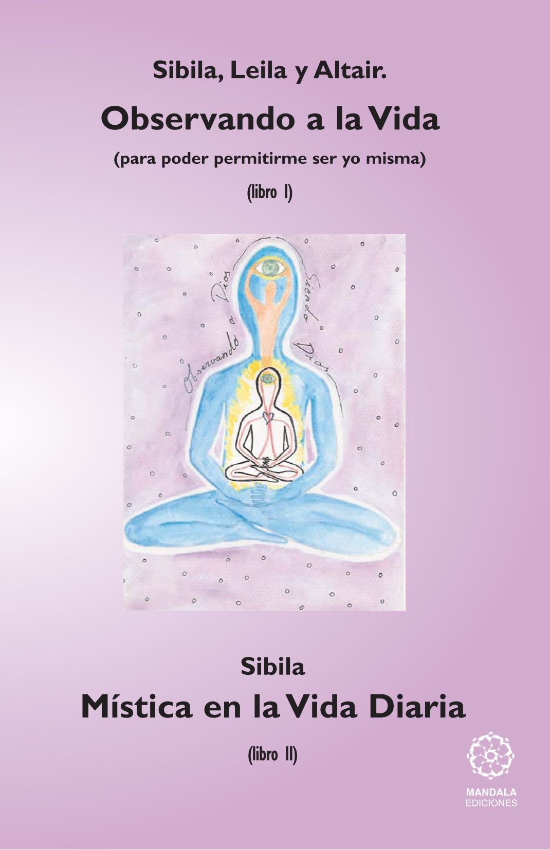 Observando a la vida : mística en la vida diaria book