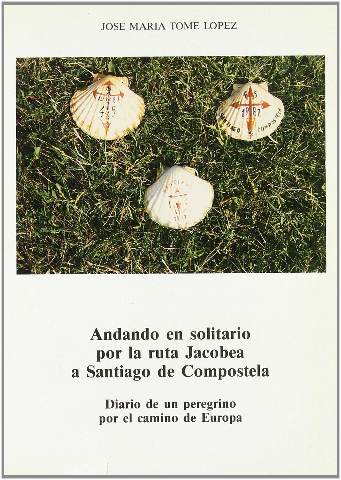 Andando en Solitario por la ruta Jacobea a Santiago de Compostela: diario de un peregrino por el camino de Europa Books