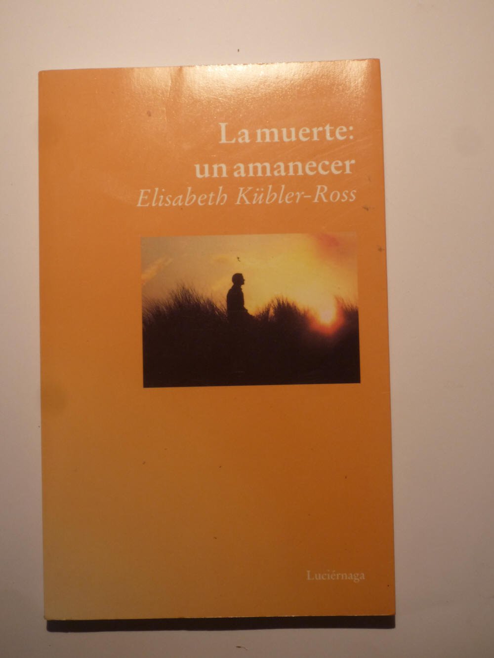 La muerte: un amanecer (ELISABETH KUBLER-ROSS, Band 1) Books