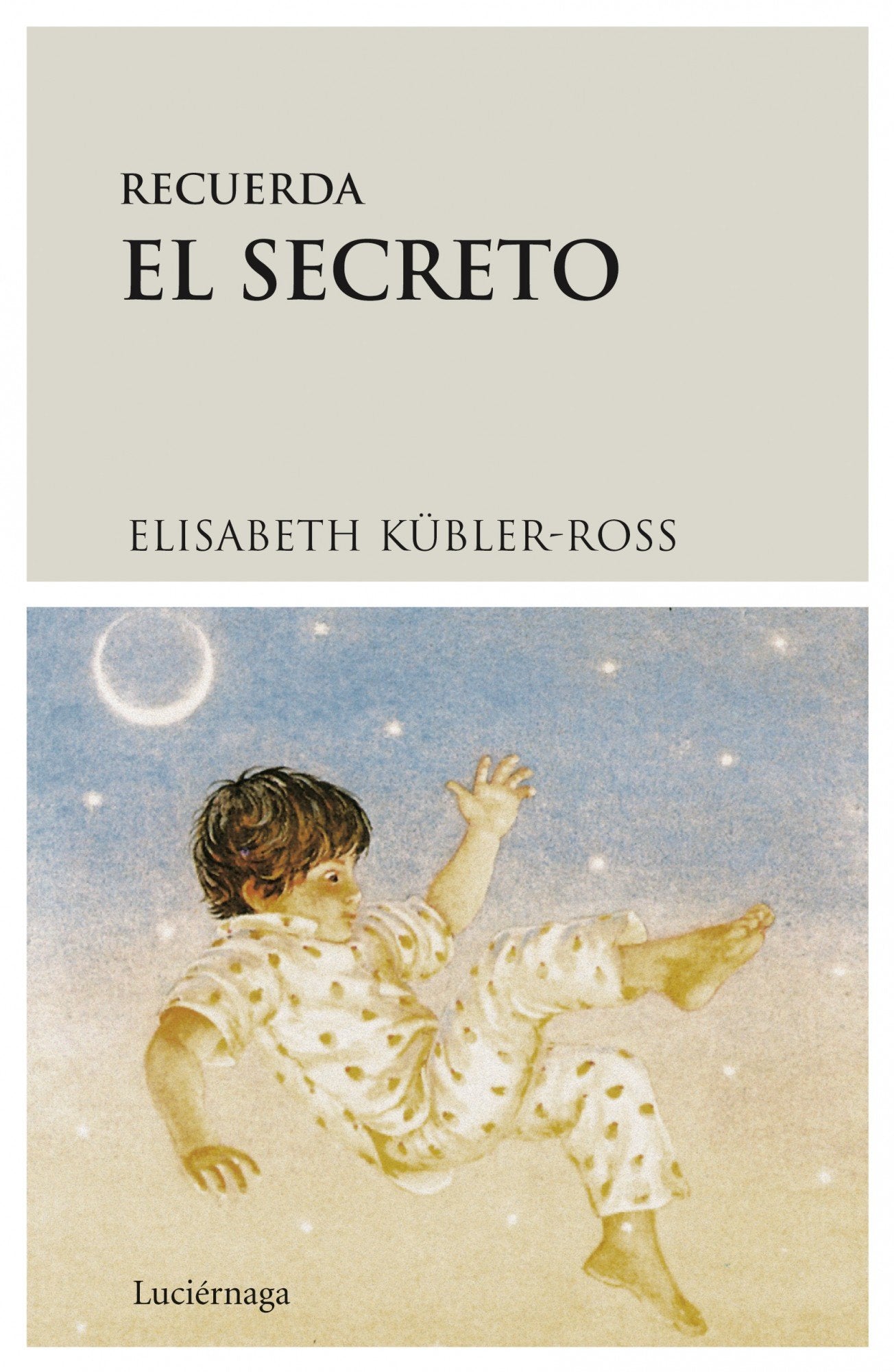 Recuerda el secreto book