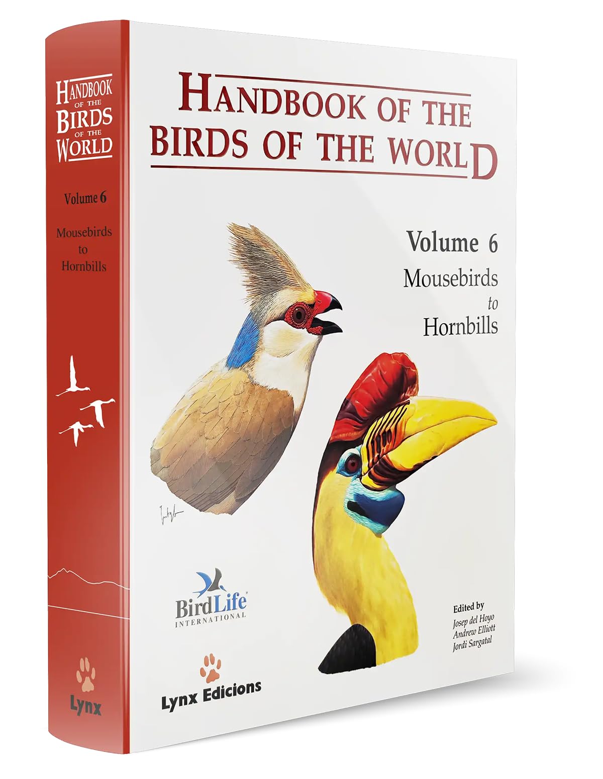 Handbook of the Birds of the World – Volume 6: Mousebirds to Hornbills Mathematics