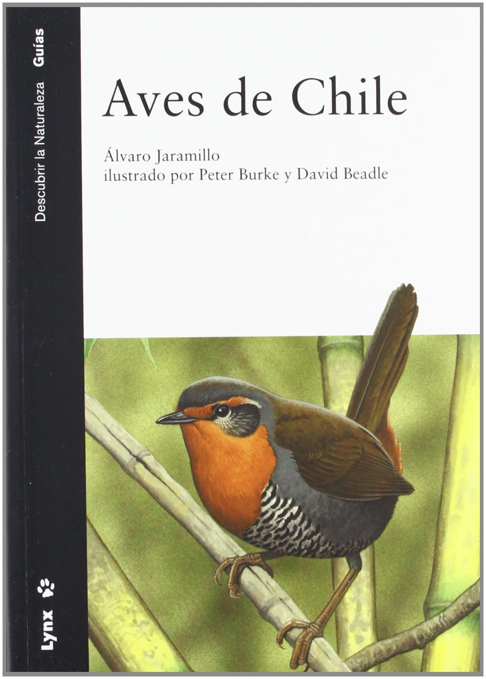 Aves de Chile : incluye la península Antártica, las islas Maldivas y Georgia del Sur book