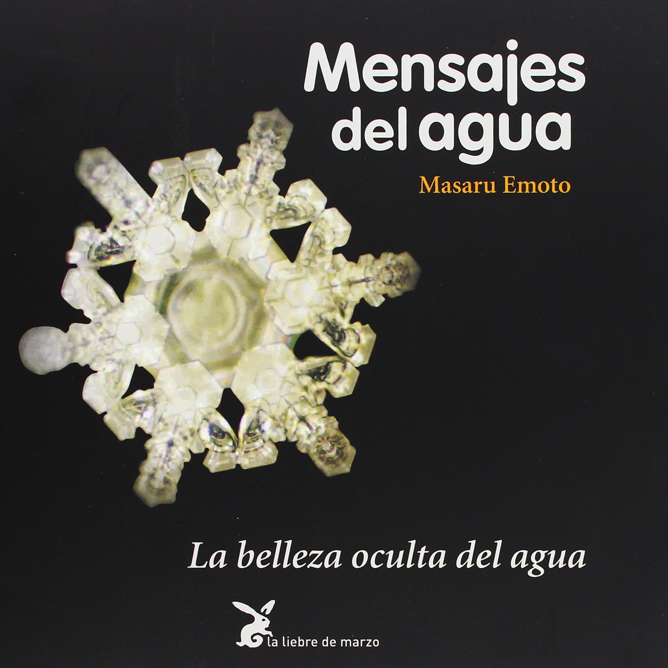 Mensajes del agua : la belleza oculta del agua Mathematics