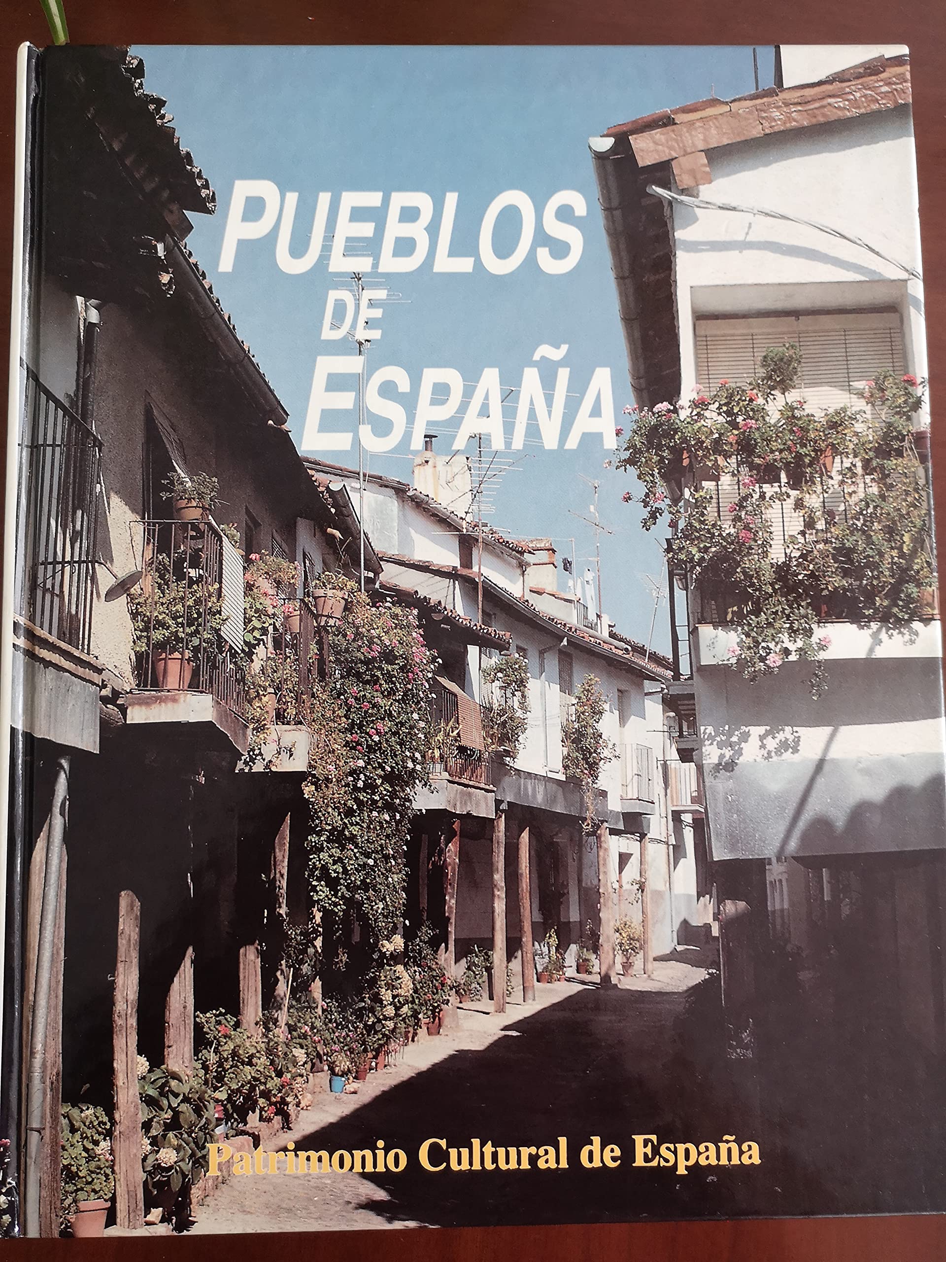 Pueblos de España book