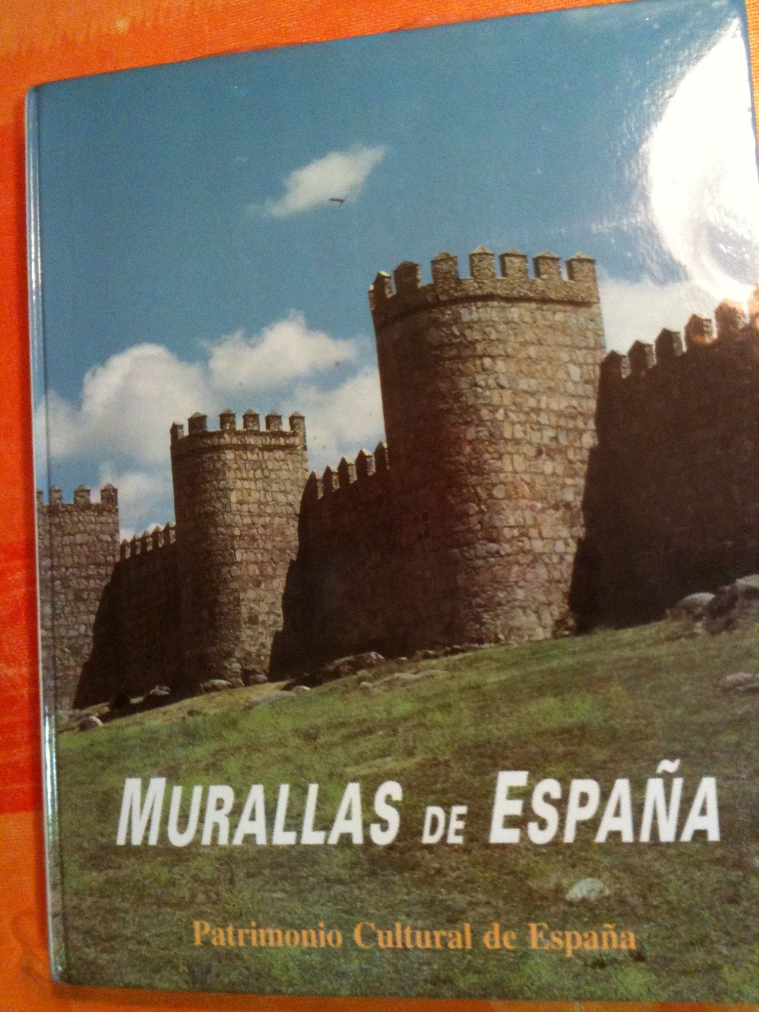 Murallas de España (Patrimonio cultural de España) Books