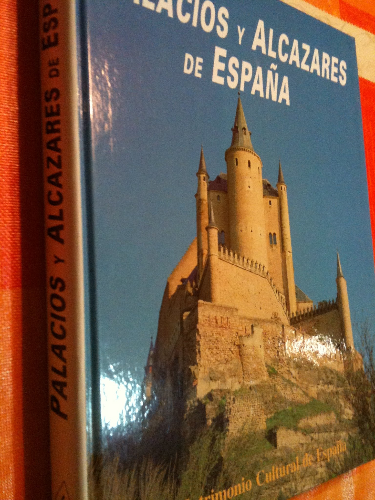 Palacios y Alcázares de España book