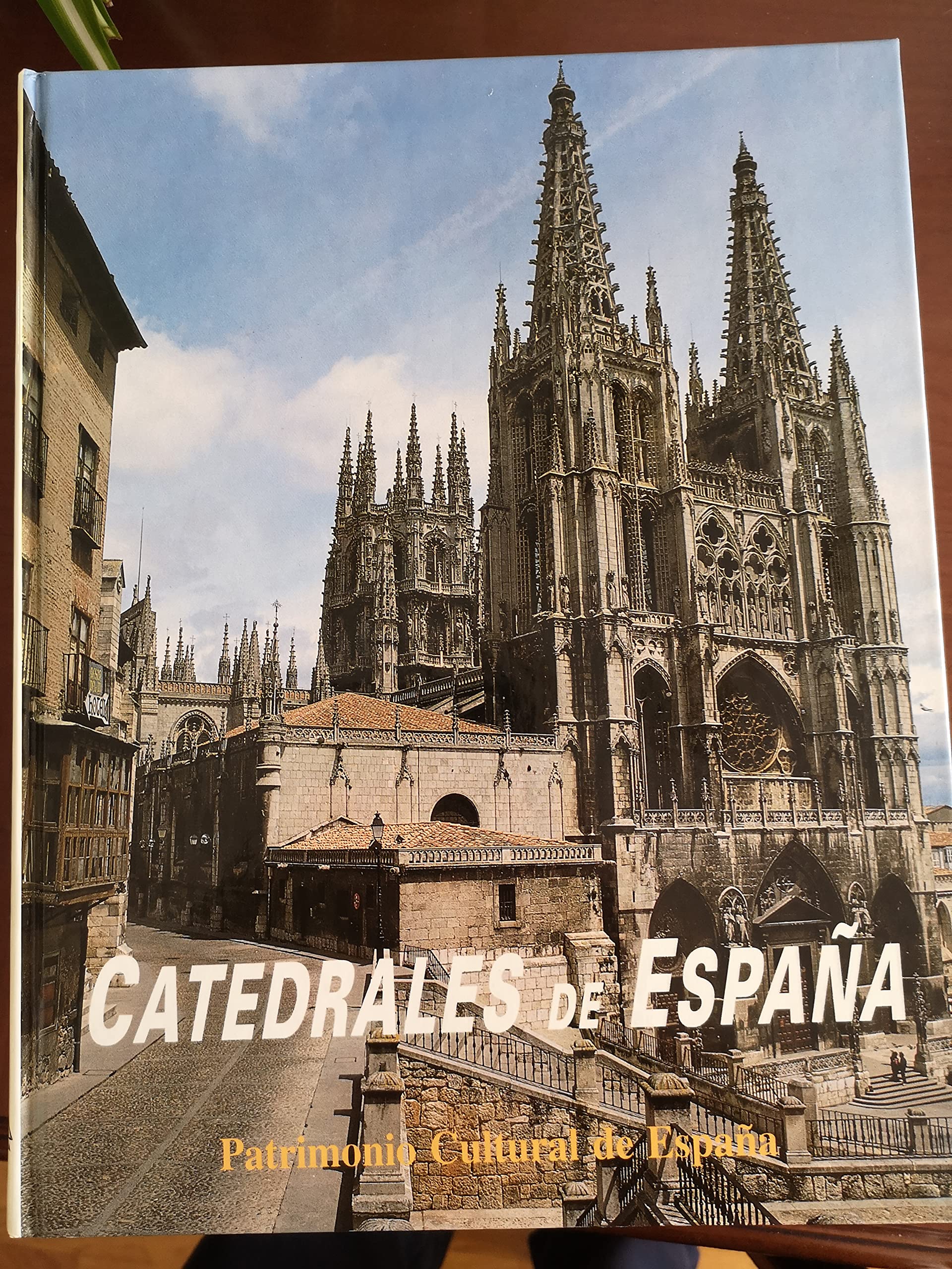 Catedrales de España (Patrimonio cultural de España) Books