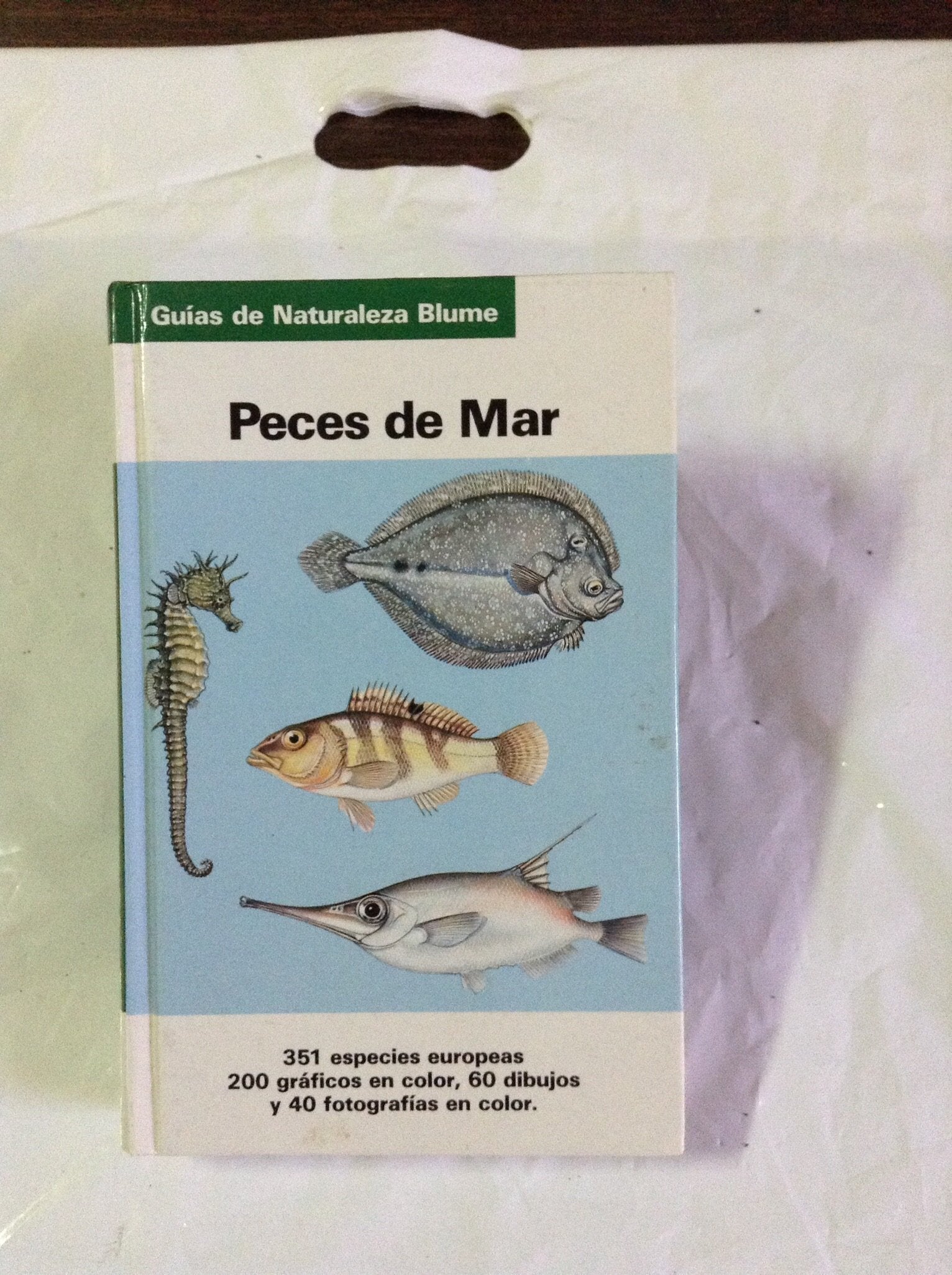 Peces de Mar (Guias Naturaleza Blume) Books