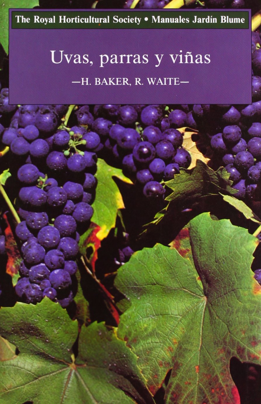 * Manuales Jardín. UVAS,PARRAS Y VIÑAS: UVAS,PARRAS Y VIÑAS, MANUAL JARDÍN BLUME Parents & Children
