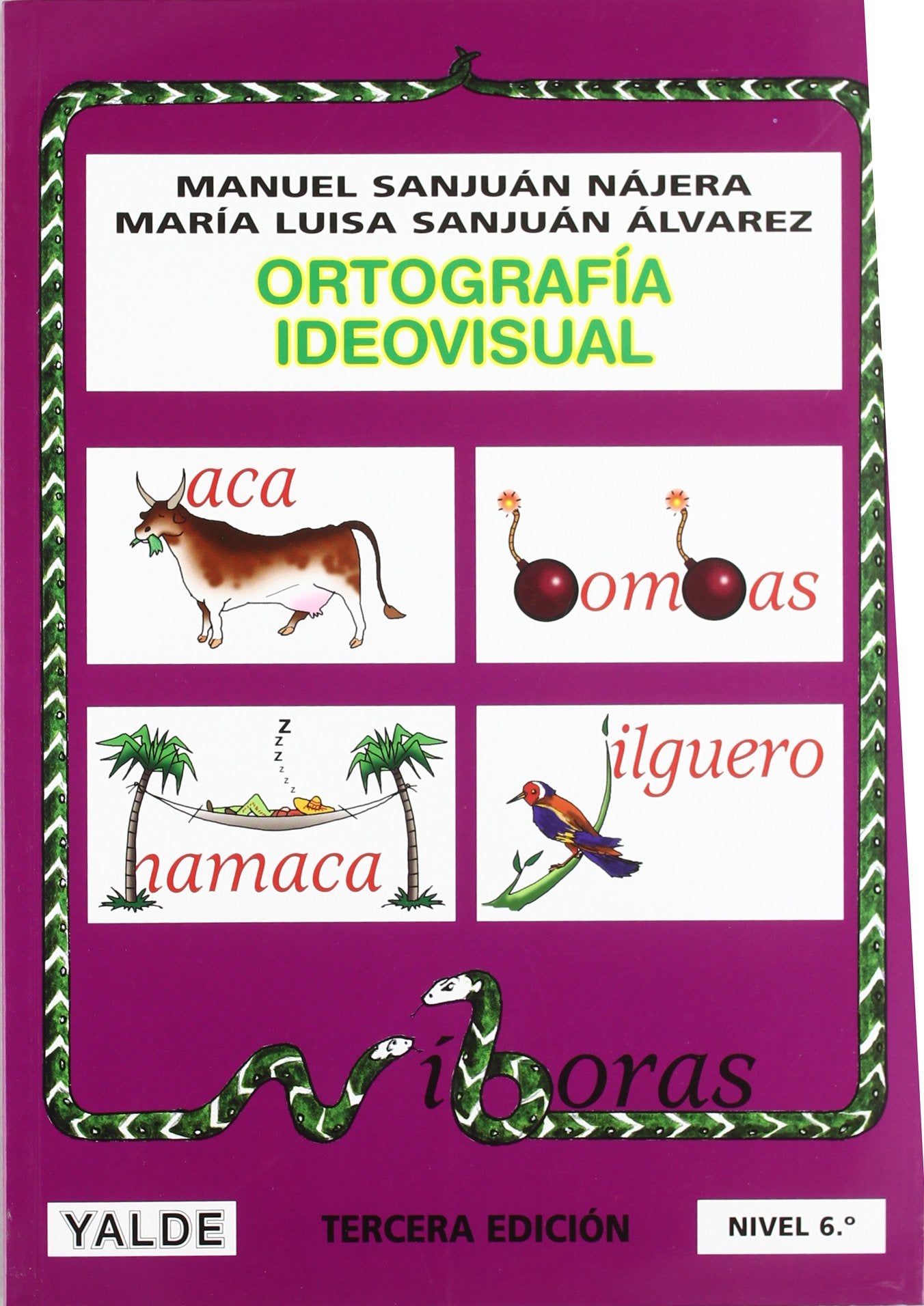 Ortografía ideovisual. Nivel 6 book