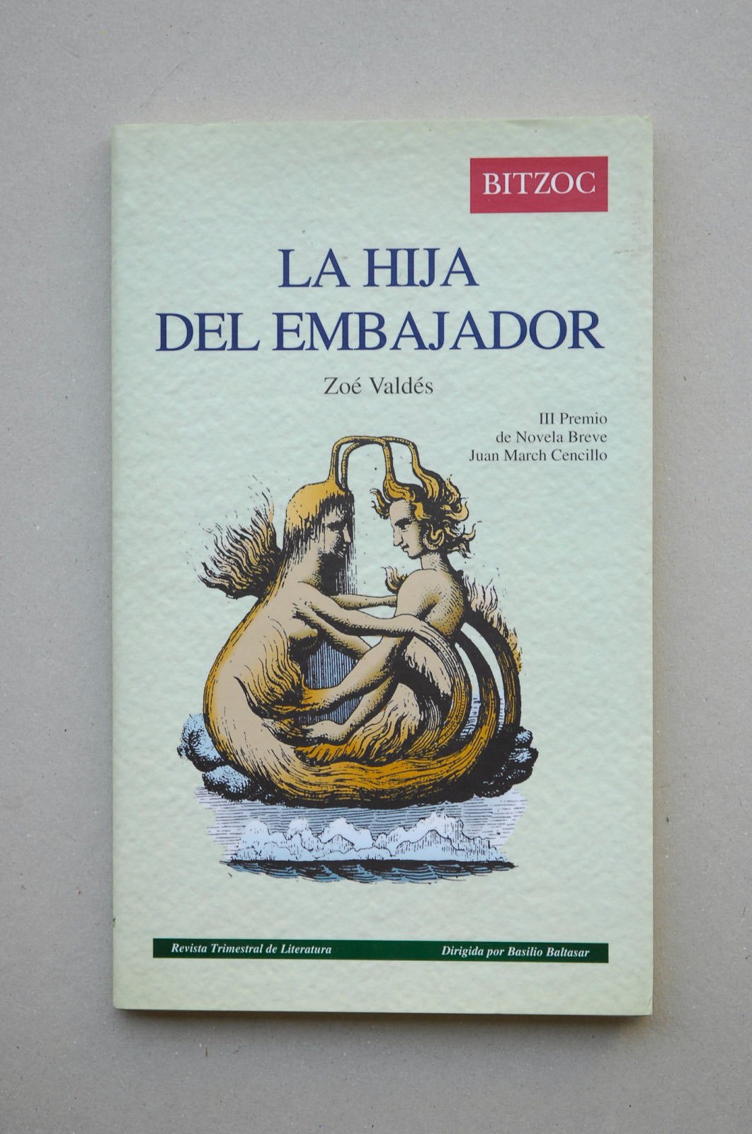 Hija del Embajador Books