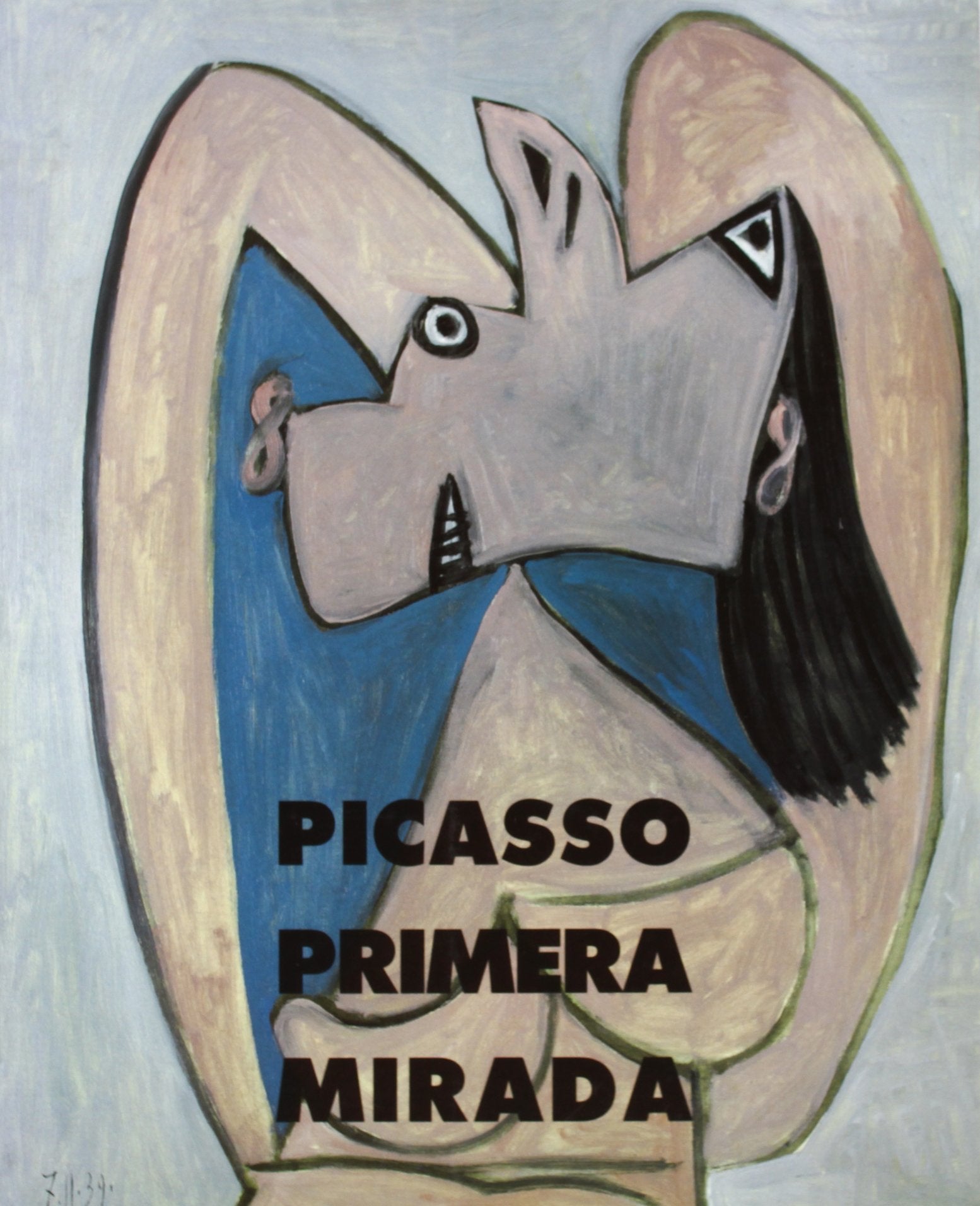 Picasso, primera mirada : colección Christine Ruiz Picasso book