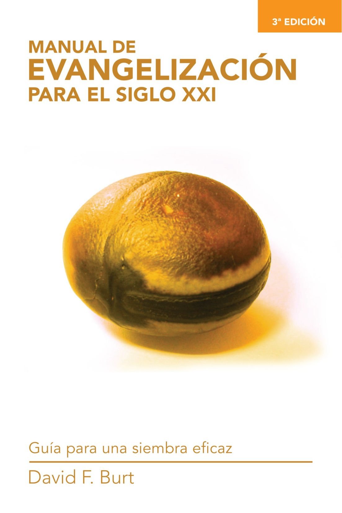 Manual de evangelización para el Siglo XXI: Guía para una siembra eficaz Religion & Esotericism