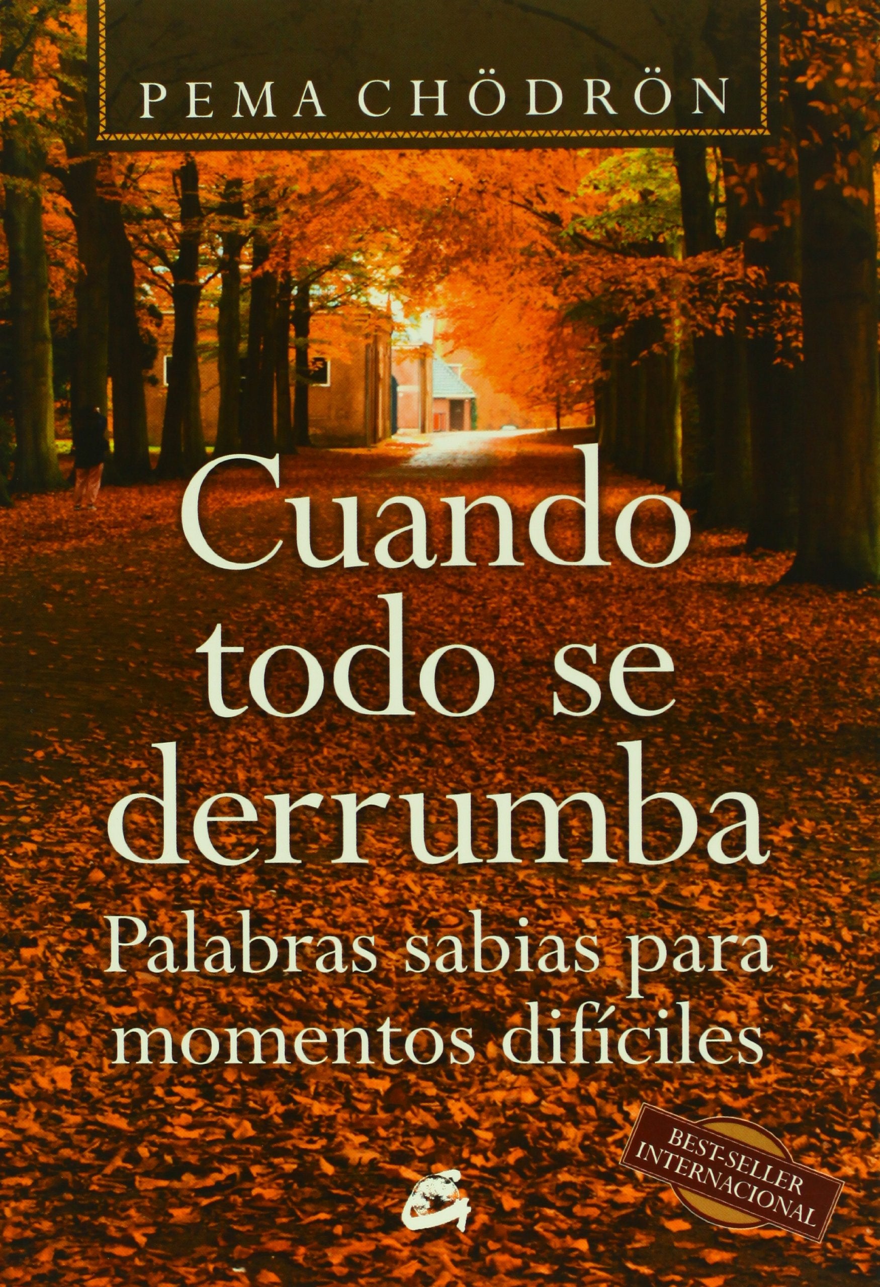 Cuando todo se derrumba : palabras sabias para momentos difíciles (Budismo) Philosophy