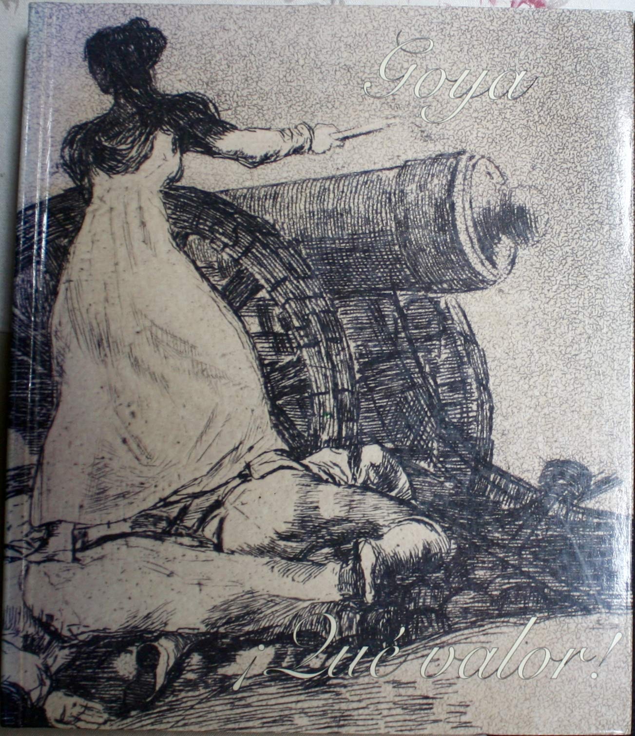 Goya: !que valor! : Sala Cai Luzan, Caja de Ahorros de la Inmmaculada, 23 de ... Books
