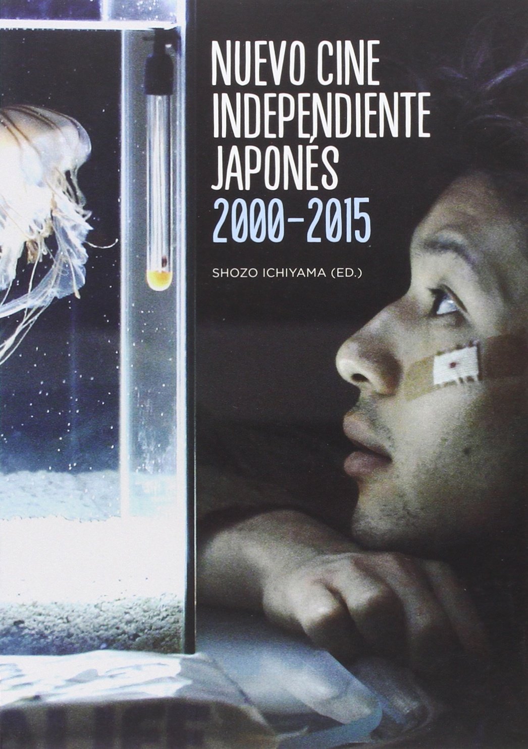NUEVO CINE INDEPENDIENTE JAPONÉS 2000-2015 book