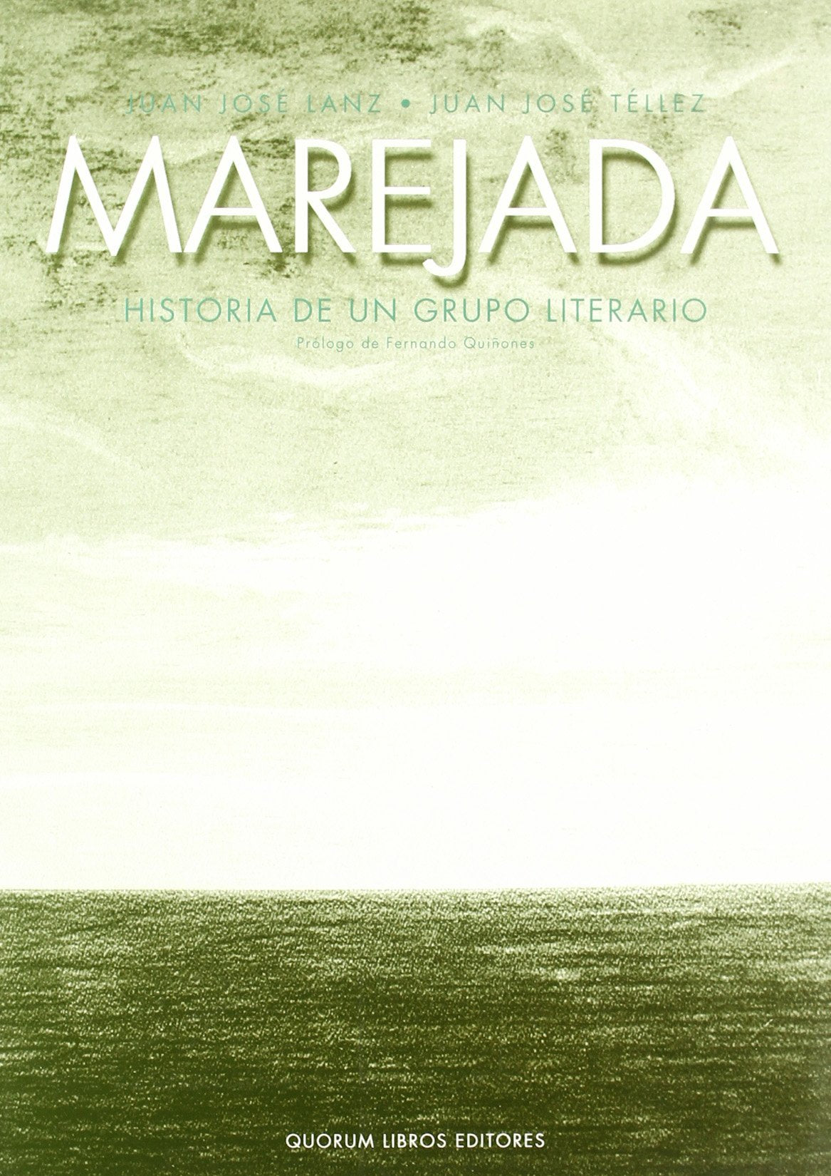 Marejada : historia de un grupo literario book