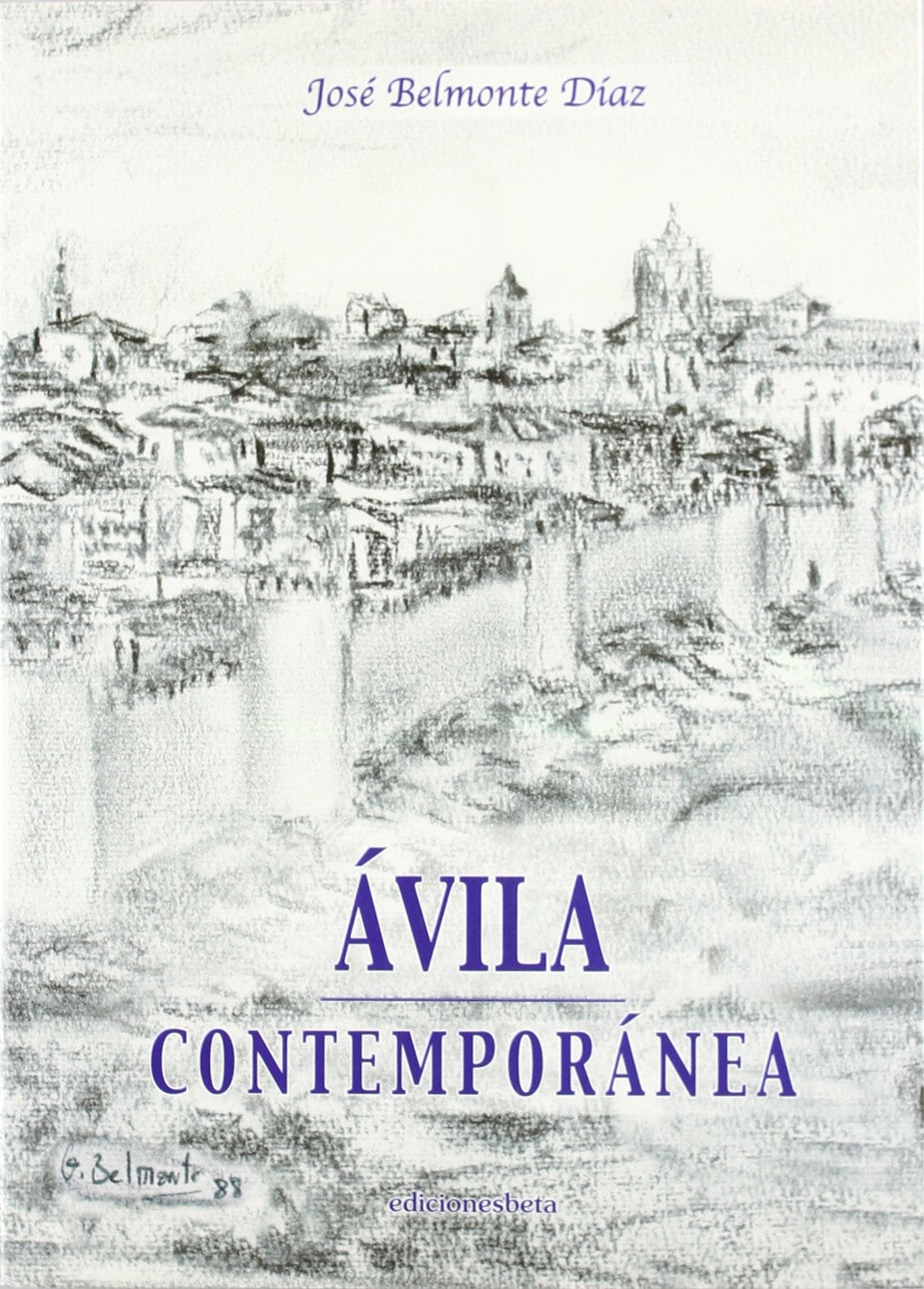 Ávila contemporánea, 1800-2000 book