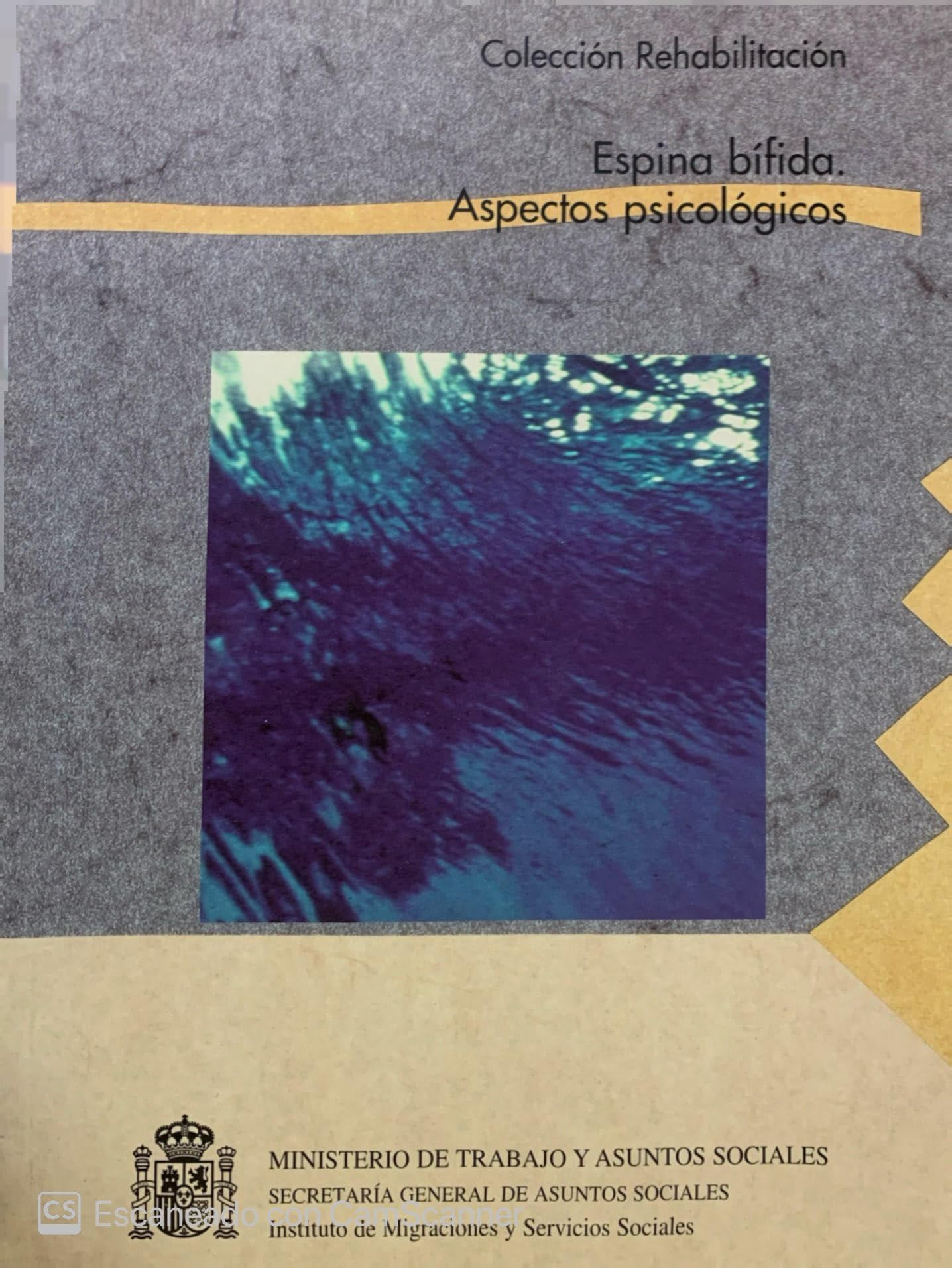 Espina bífida: aspectos psicológicos (Colección Rehabilitación, Band 55) Books