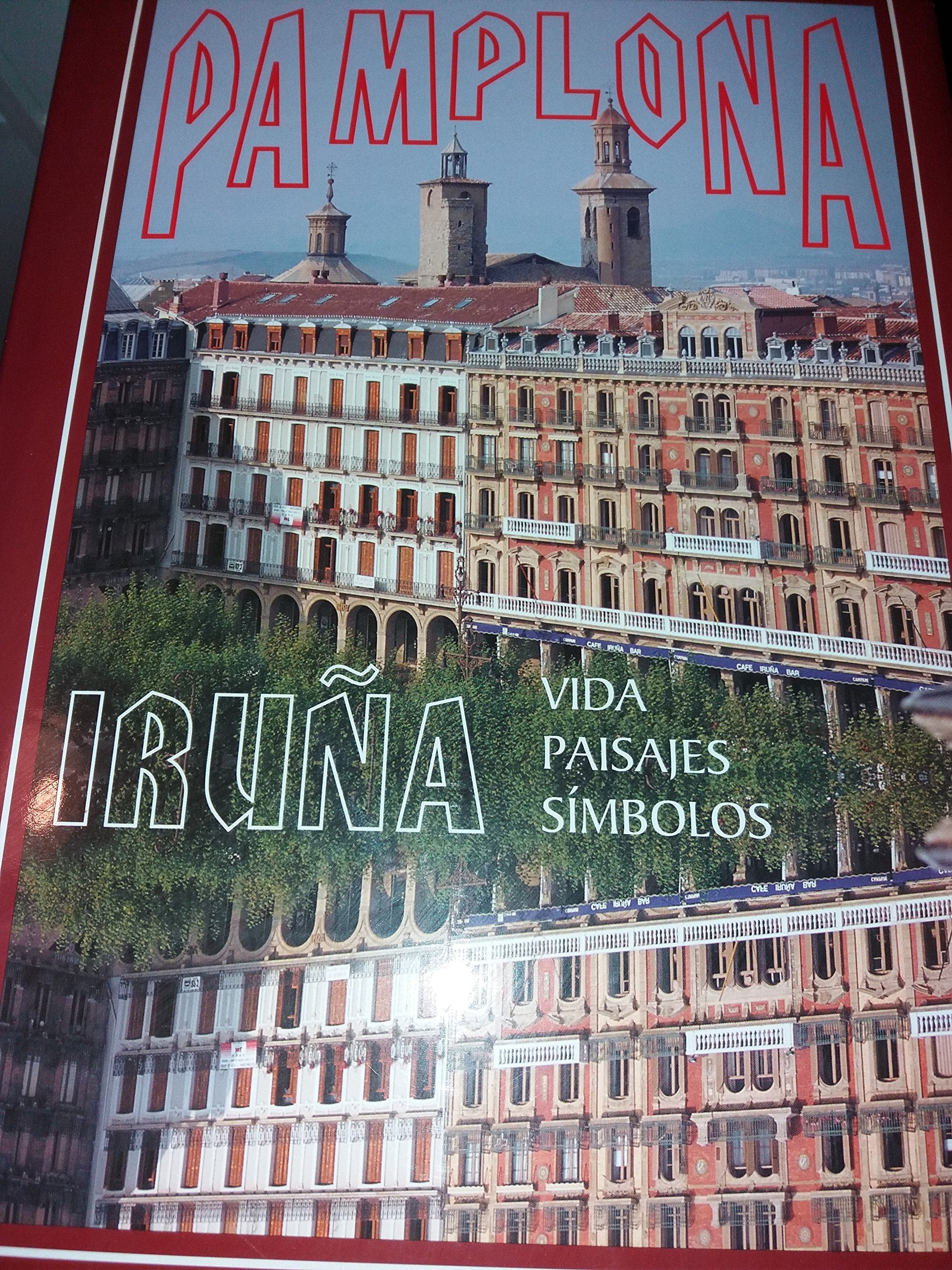 Iruñea / Pamplona - hiri buruak book