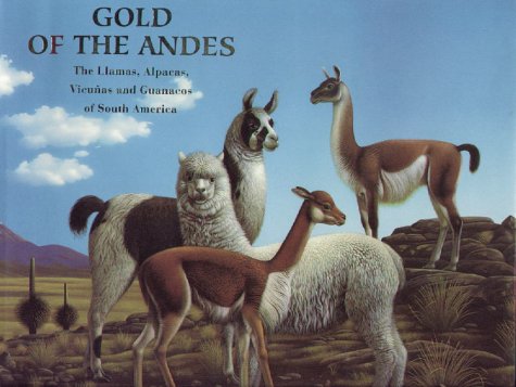 Gold of the Andes (2 Vol. Set): The Llamas, Alpacas, Vicuñas and Guanacos of South America Books