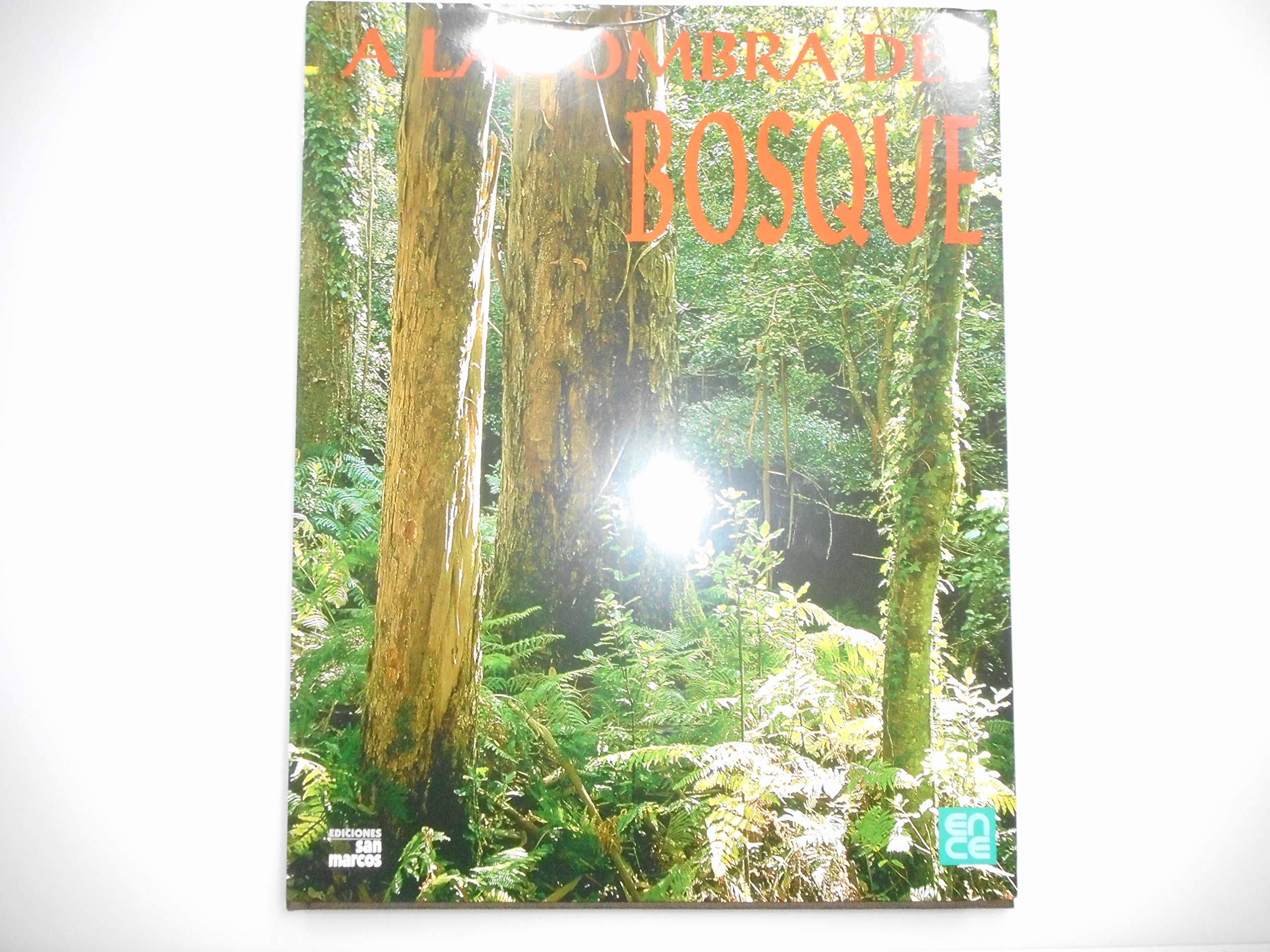 A La Sombra Del Bosque book