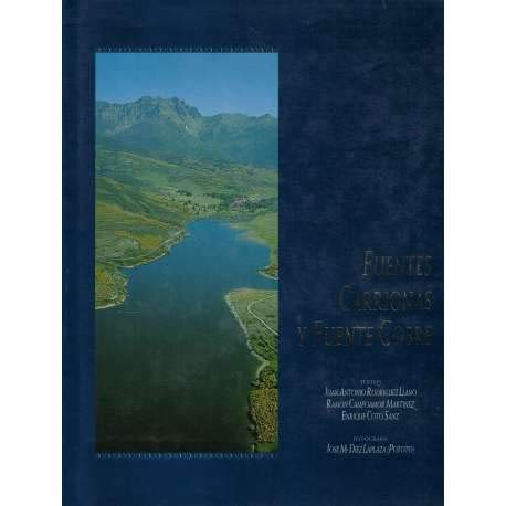 FUENTES CARRIONAS Y FUENTE COBRE book