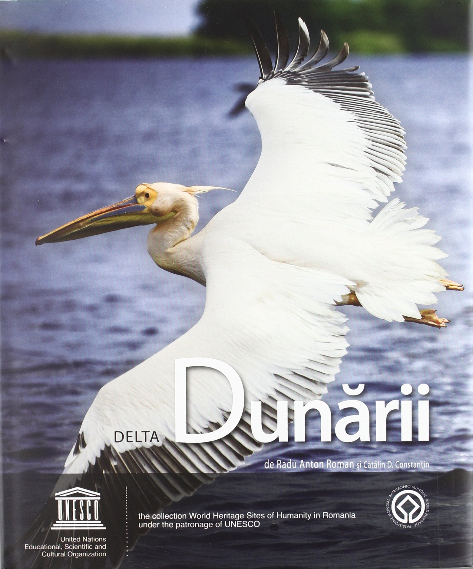 Delta dunaii (rumano / ingles) book