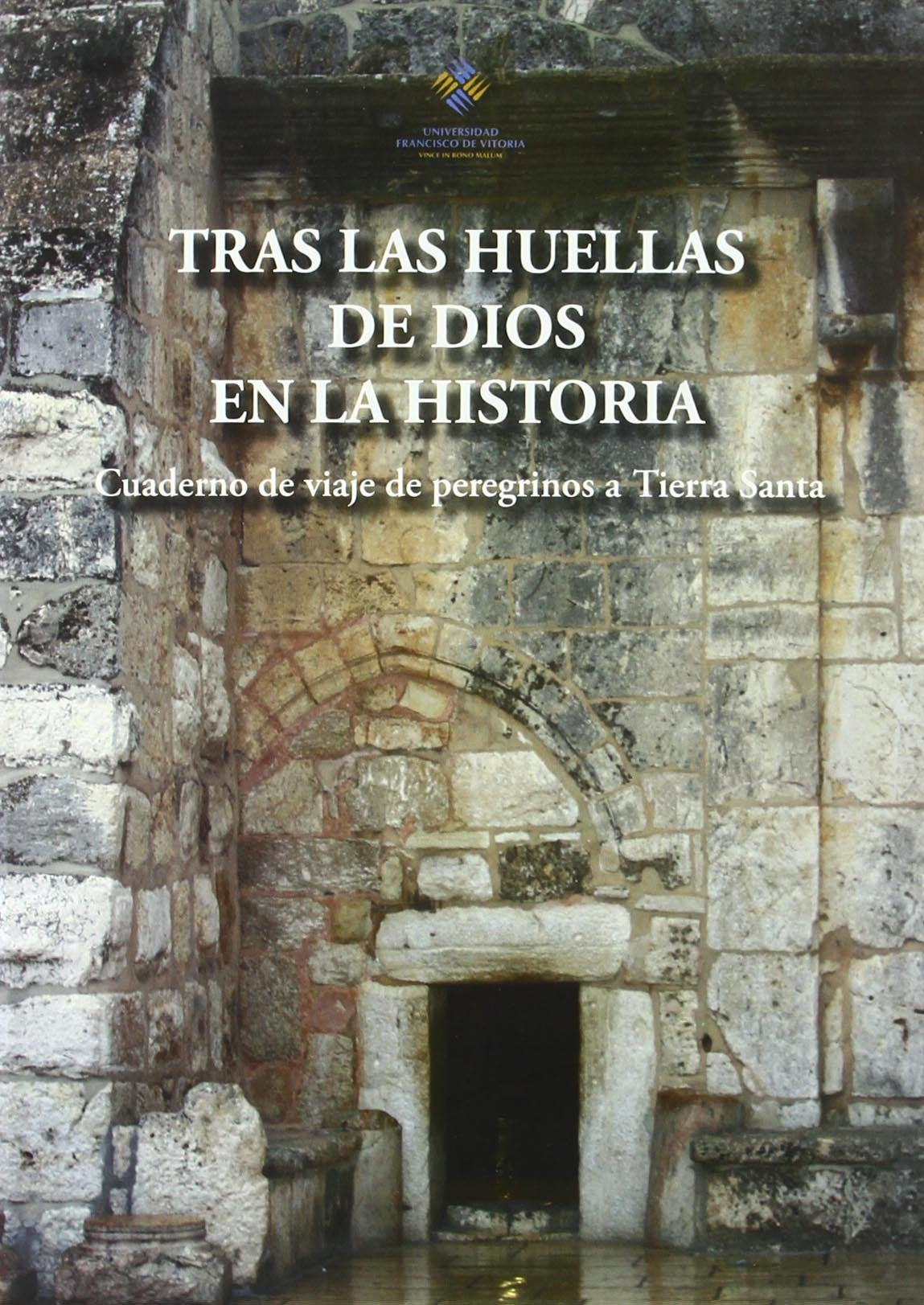Tras las huellas de Dios en la Historia (Instituto John Henry Newman, Band 7) Books