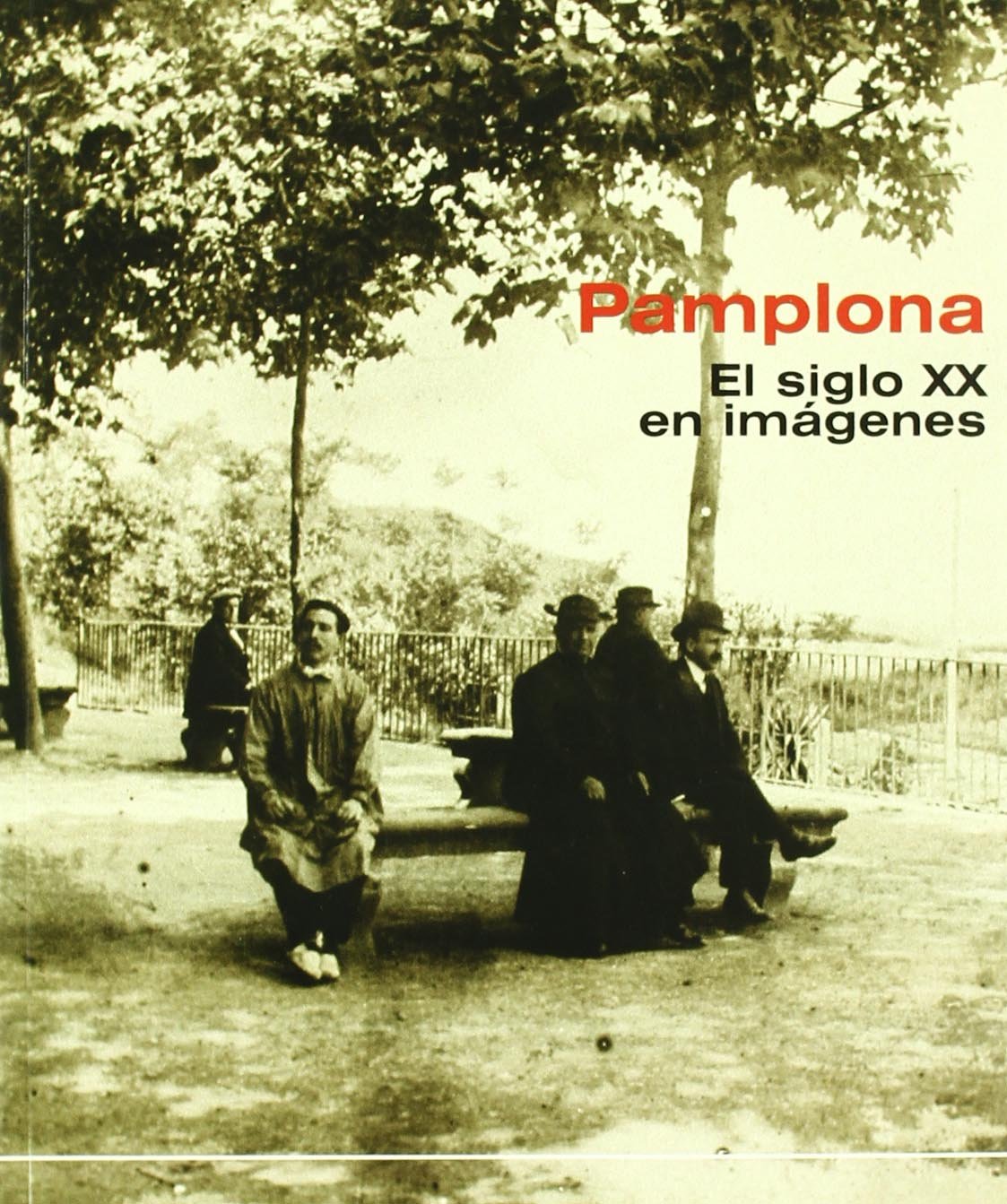 Pamplona, el siglo XX en imágenes book
