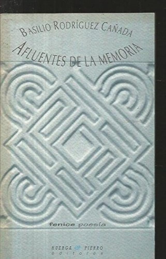Afluentes de la memoria book