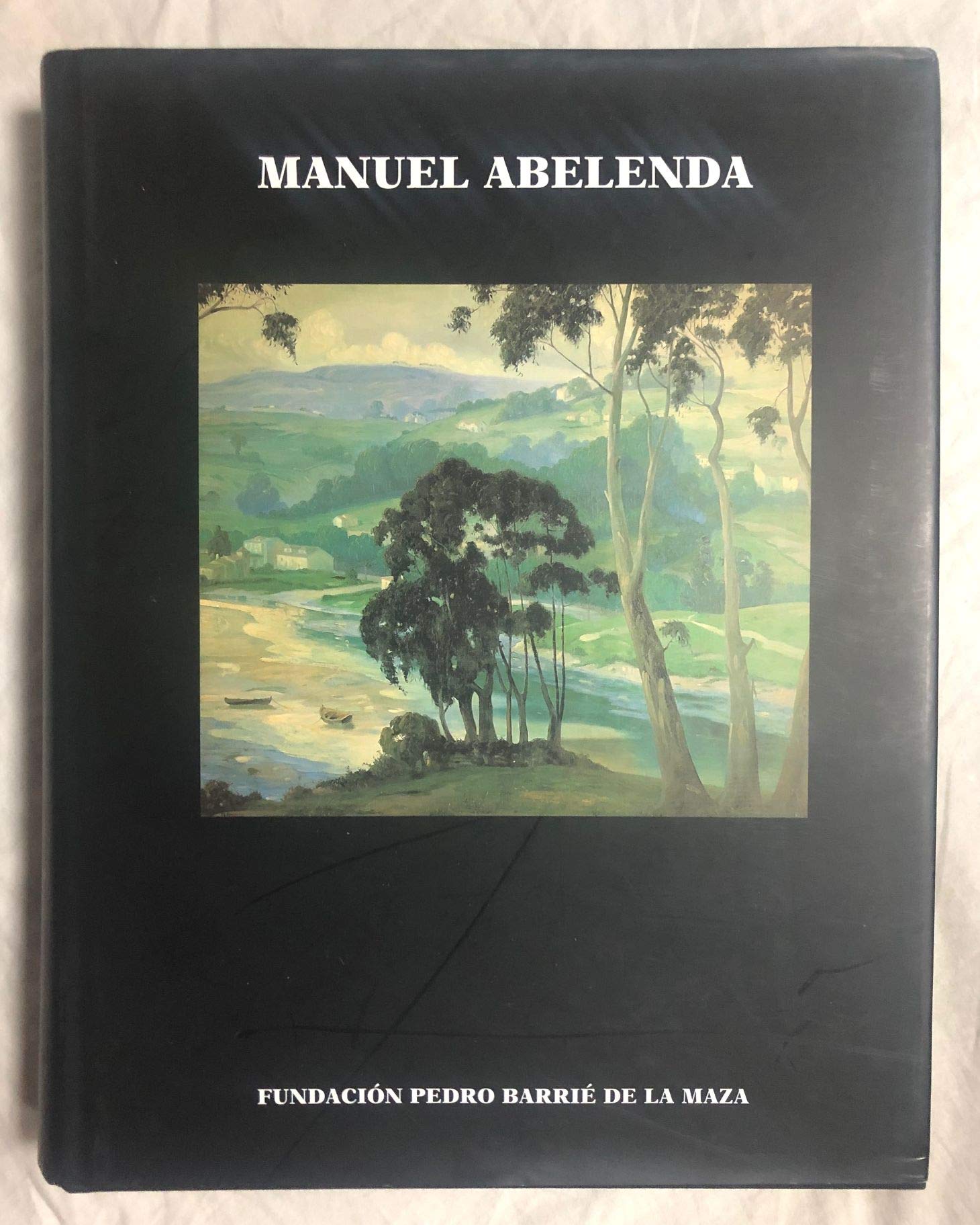 Manuel Abelenda: (1889-1957) (Catalogación arqueológica y artística en Galicia del Museo de Pontevedra) Books