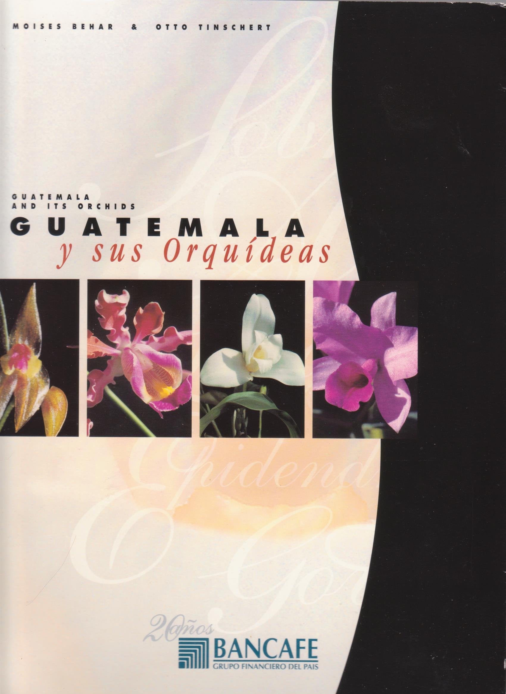 Guatemala y sus orquideas (Guatemala and its orchids) Books
