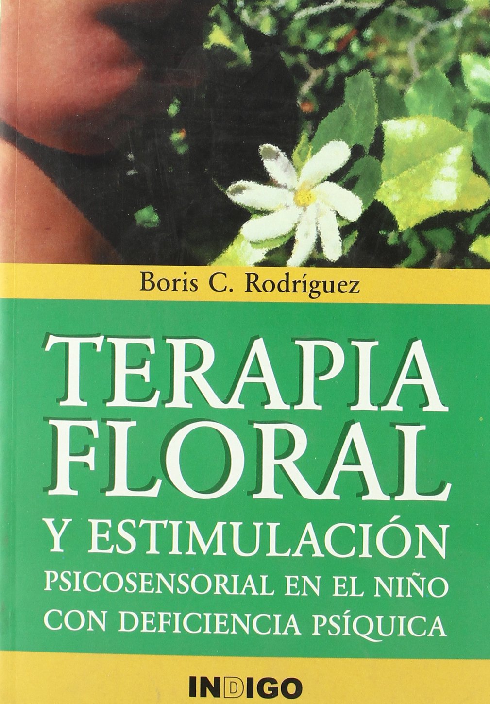 Terapia floral, y estimulación psicosensorial en el niño con deficiencia psíquica book