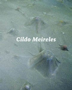 Product Image: Cildo Meireles