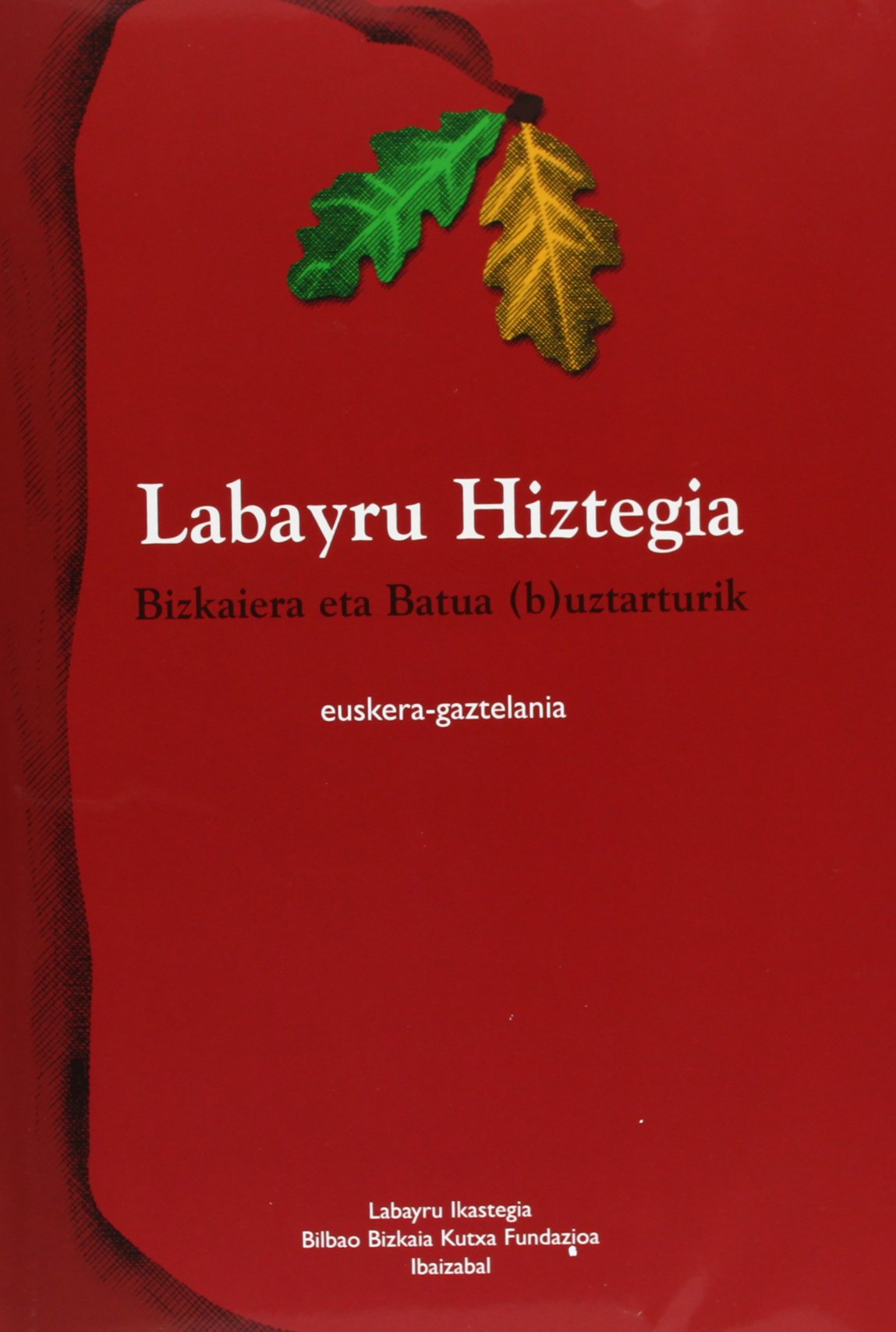 Labayru Hiztegia - Bizkaiera Eta Batua Uztarturik - Euskera/gaztelan Books