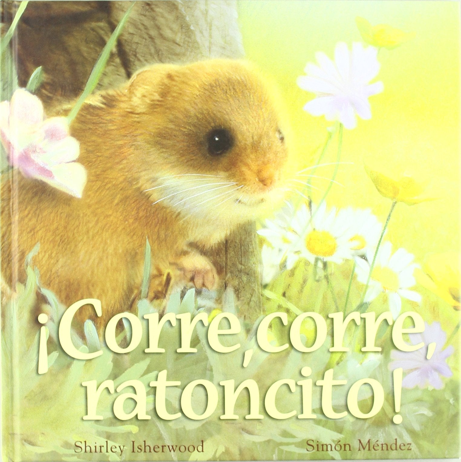 ¡Corre, corre, ratoncito! (serie animalitos) Learning & Reference